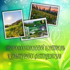 Monographs by Sergei Viger