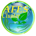 Profile picture of Cluster AFES